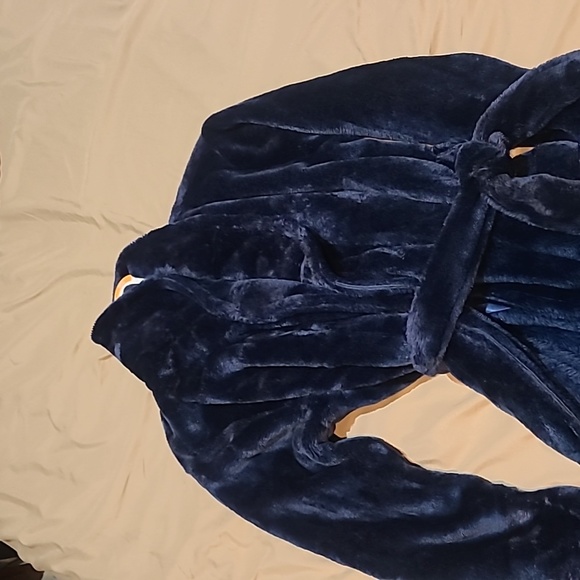 Blue rob - Picture 2 of 2